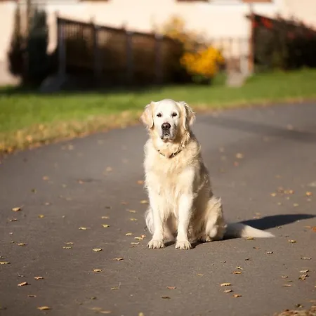 Gastehaus Biohof * Leutschach