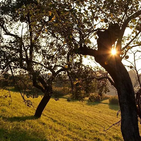 Gastehaus Biohof Apartment Leutschach