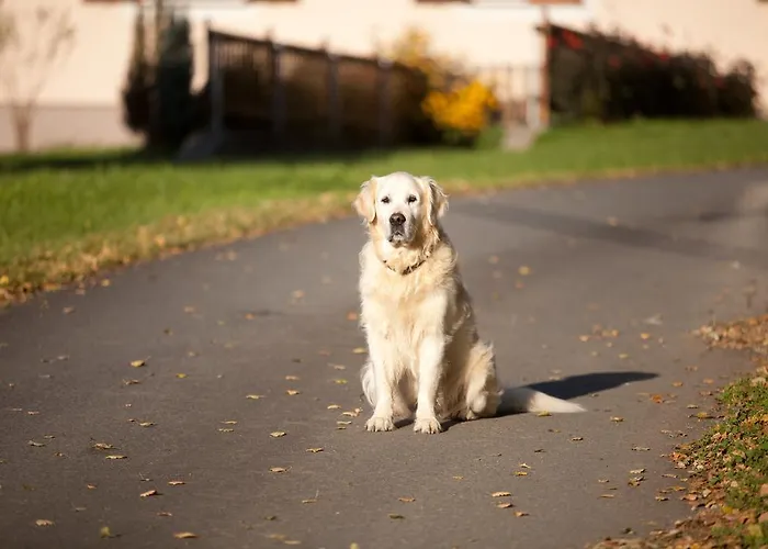 Gaestehaus Biohof * Leutschach