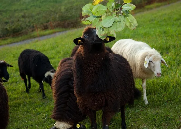 Gaestehaus Biohof Leutschach